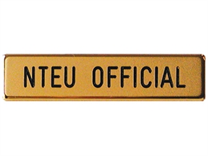 Picture of NTEU Official Pin